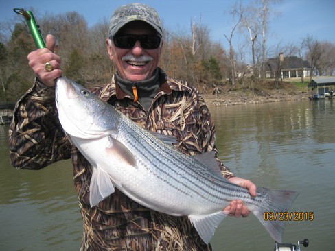 Nice Striped Bass